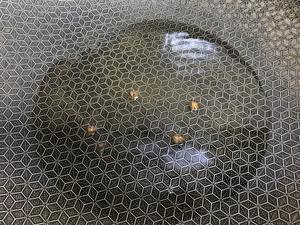 葱油蛏子的做法(图6) 5.jpg